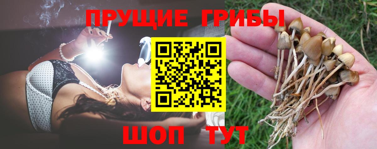 Псилоцибиновые грибы Magic Shrooms  Вход с VPN  Карасук 