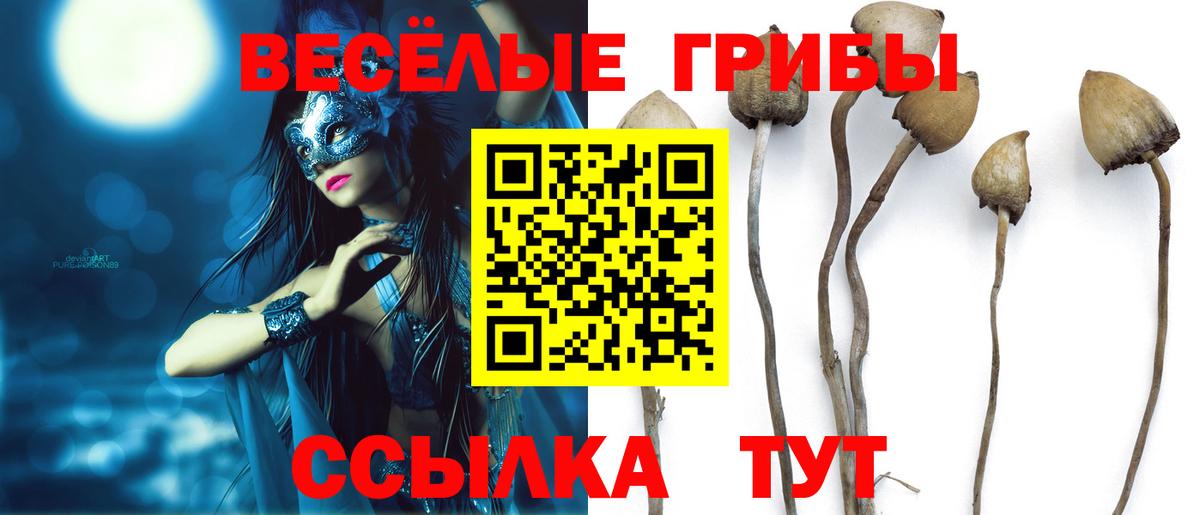 Псилоцибиновые грибы MAGIC MUSHROOMS Карасук